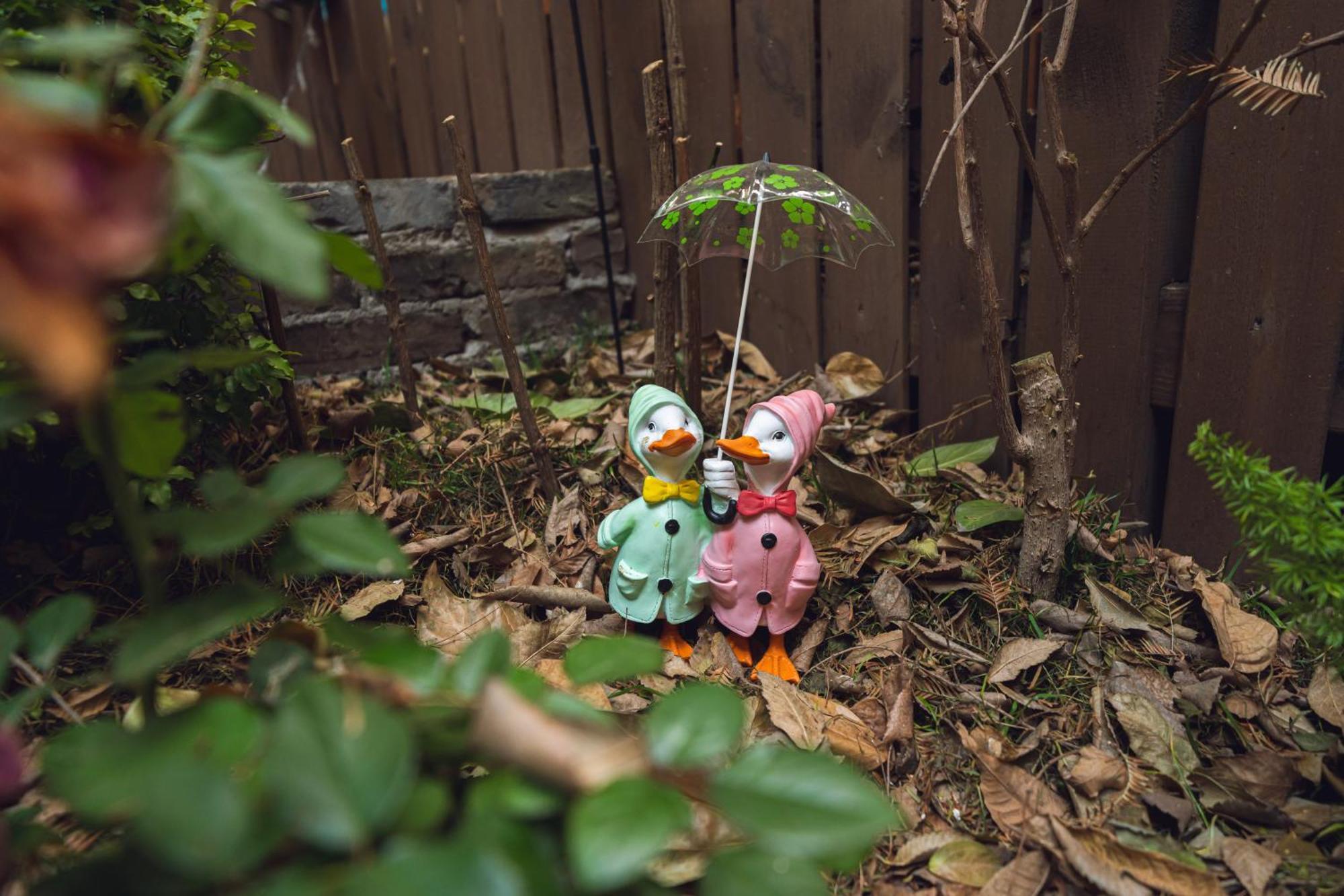 Party Garden *