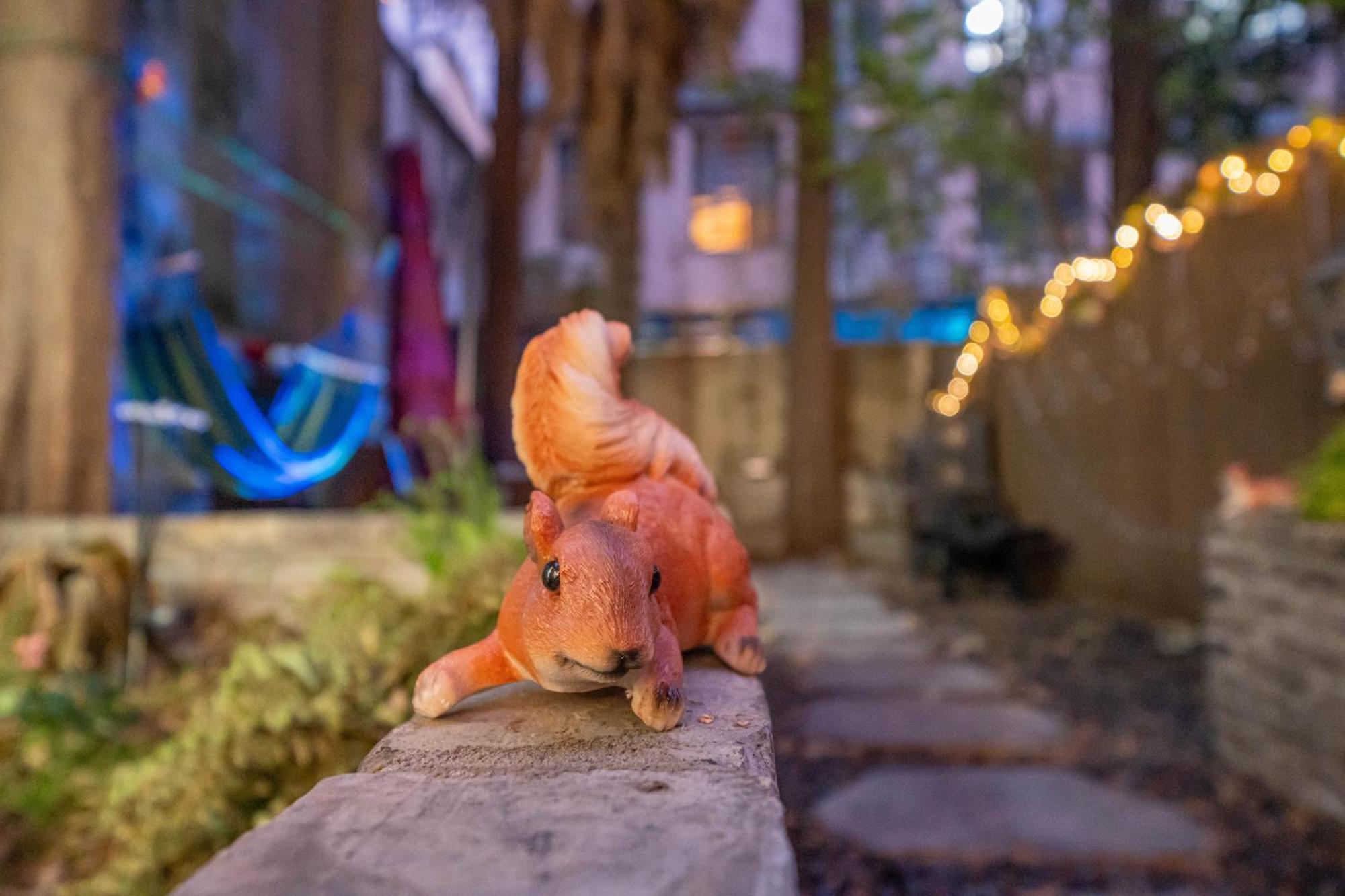 Apartment Party Garden *